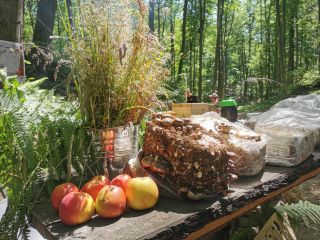 344749161_643153137666472_5317691093290959389_n